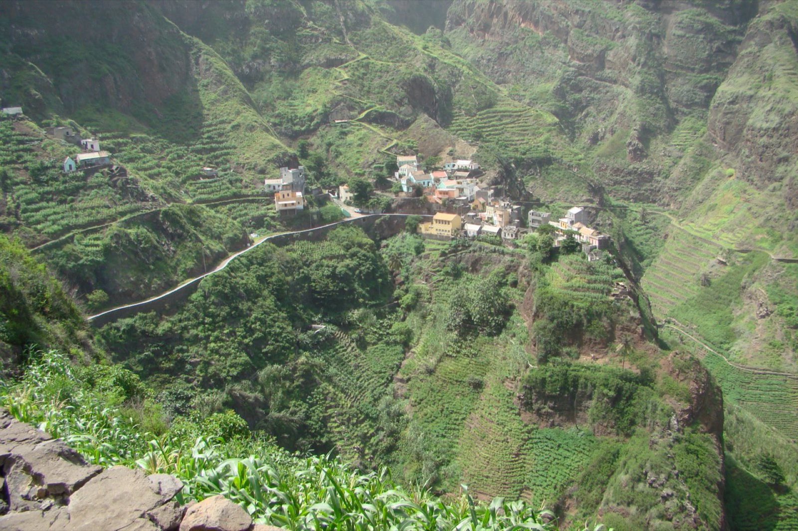 Ribeira verdejante em Santo Antão